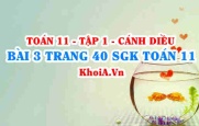 Bài 3 trang 40 SGK Toán 11 tập 1 Cánh Diều